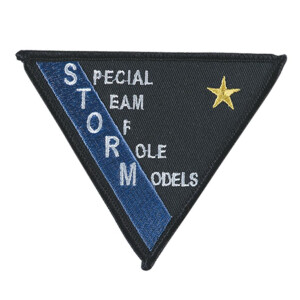 triangle Badges STORM