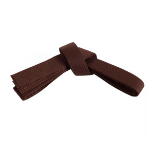 Double Wrap Solid Belt 3 Brown