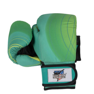 Tae Bo Nation waschbare Boxhandschuhe Green Hue