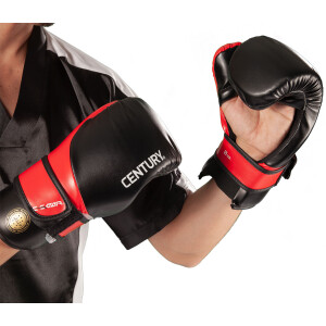 Point Fighting Handschuhe C-GEAR Determination WAKO zertifiziert