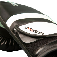 Kickboxing Gloves C-GEAR Determination WAKO approved