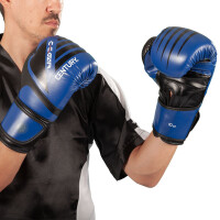 Kickboxing Handschuhe C-GEAR Integrity WAKO zertifiziert